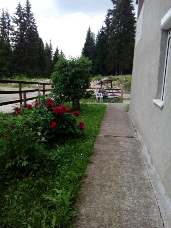 Guesthouse Andrea A Žabljak Εξωτερικό φωτογραφία